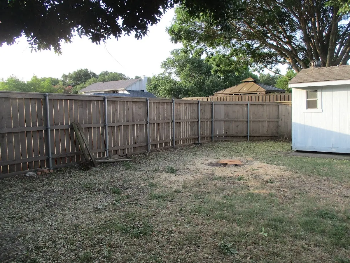 Cleared yard after professional tree removal in Neah Bay